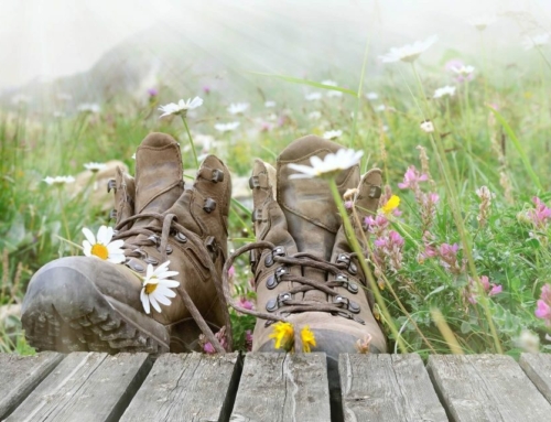 Frauen-Wanderschuhe im Test