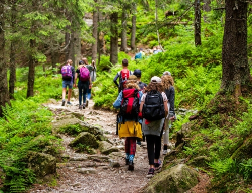 Wanderrucksäcke im Test